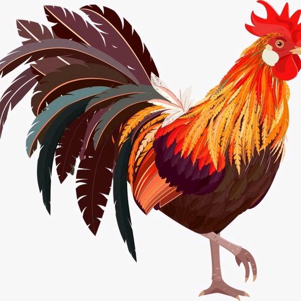 红太阳