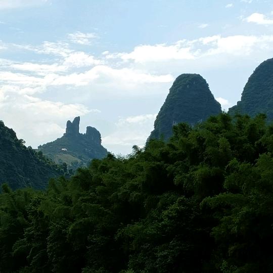 我姓韦