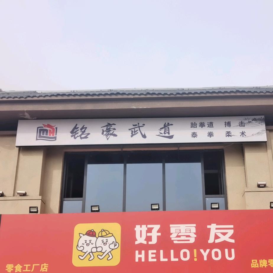 武安铭豪跆拳道搏击宋教练