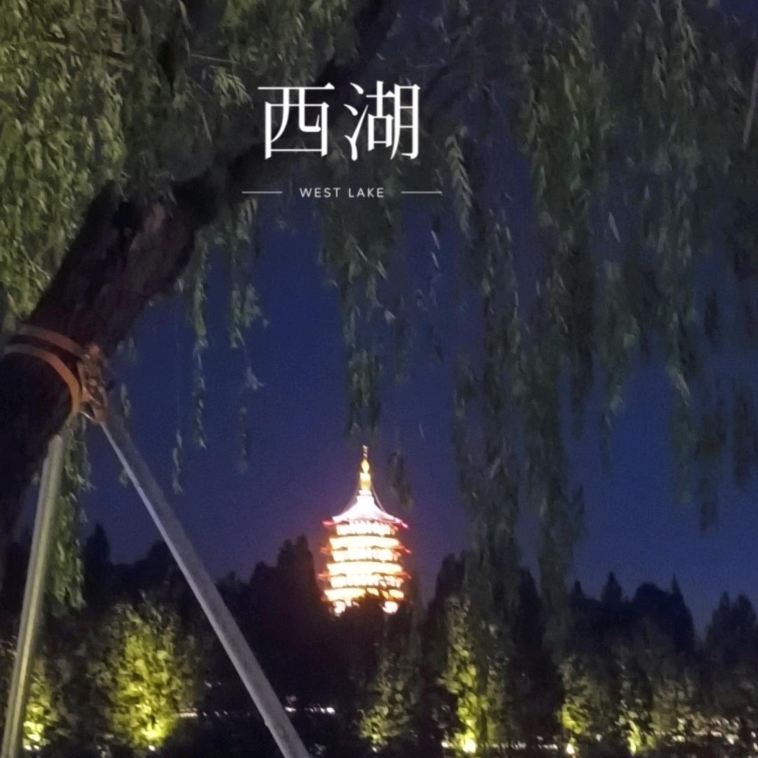 放飞梦想