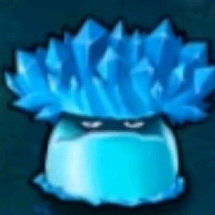 梦奇的泪吧