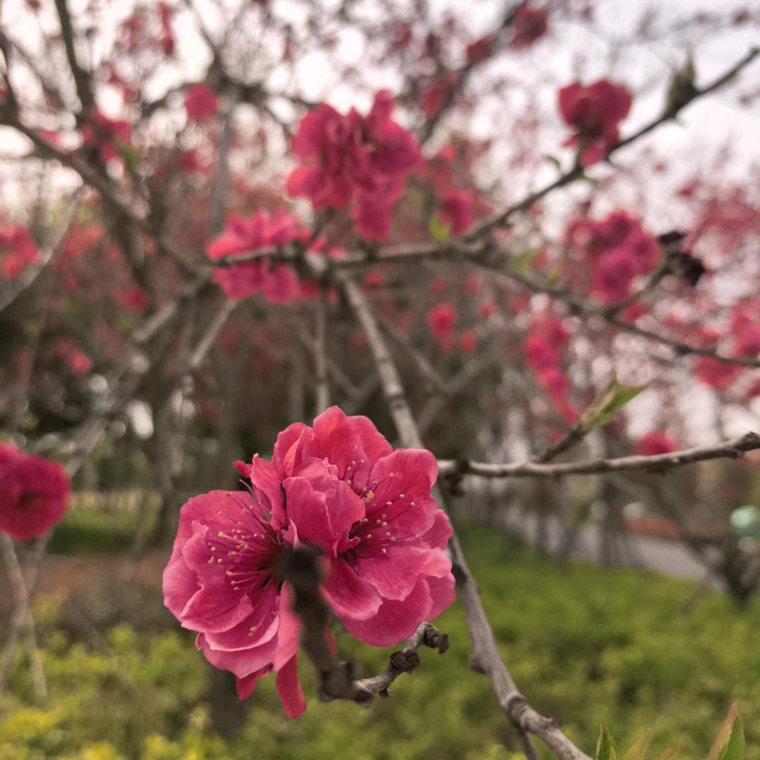 襄阳JR小王不小