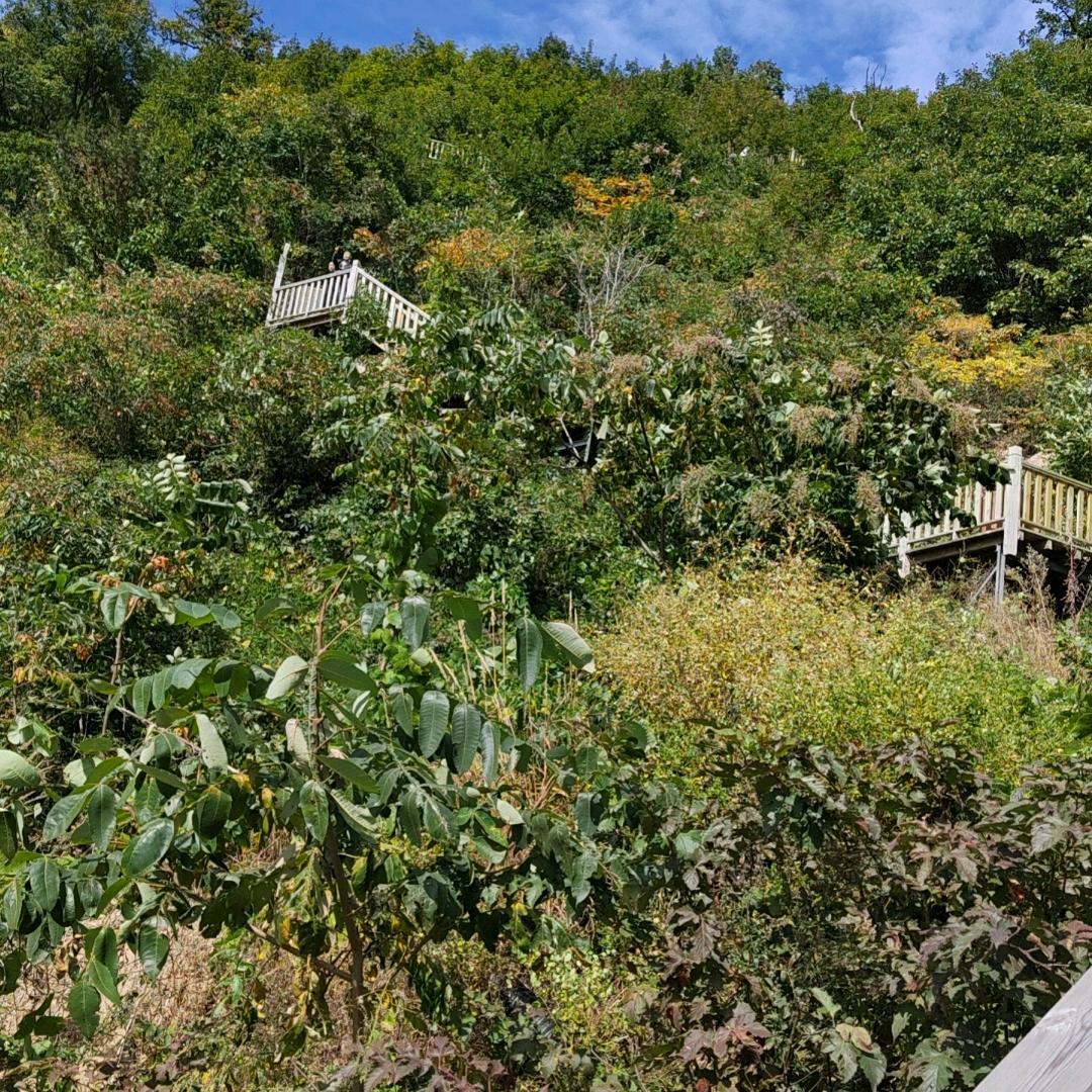 爱佳【好物推荐】