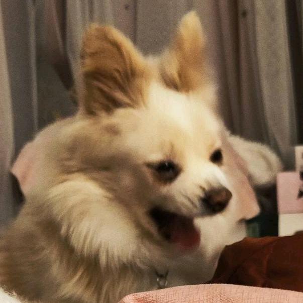 我就是命好