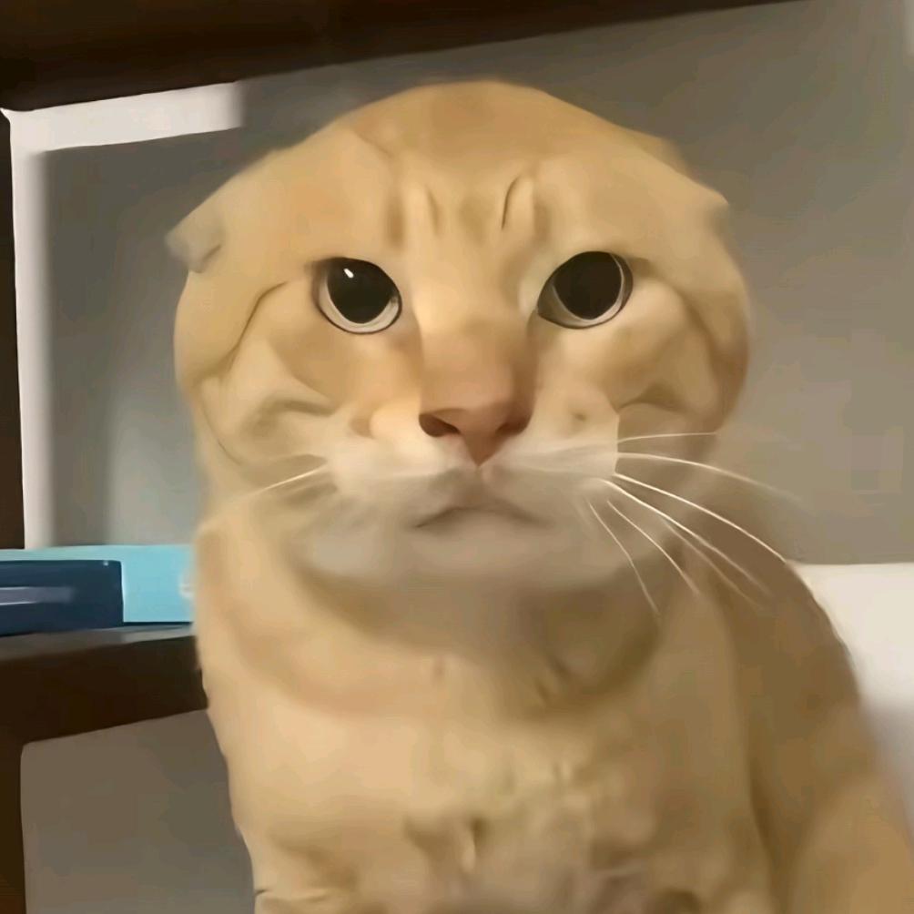 刘子潇