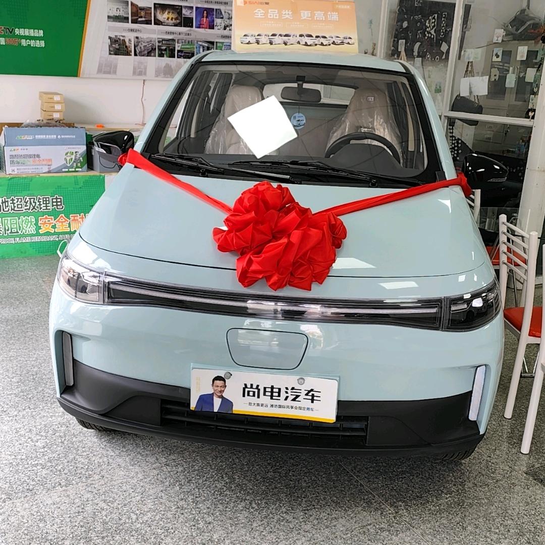 叶集新能源汽车