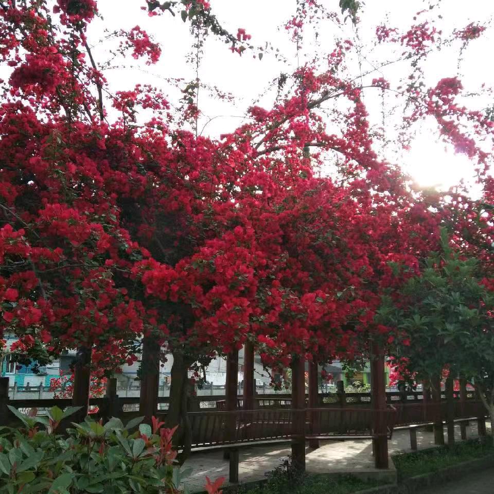 幸福就是美好的明天，时光无限，岁月静好