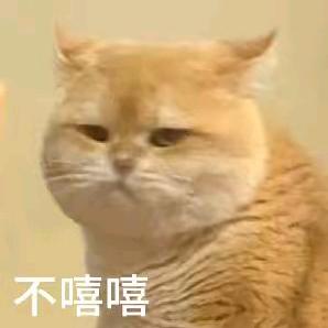 笑笑哎呀呀