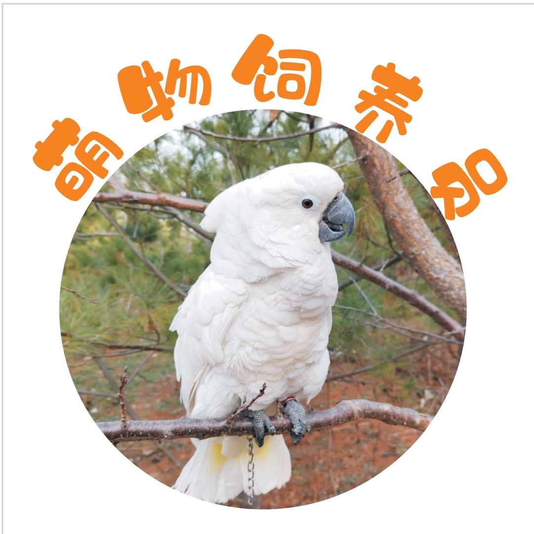 萌物饲养员