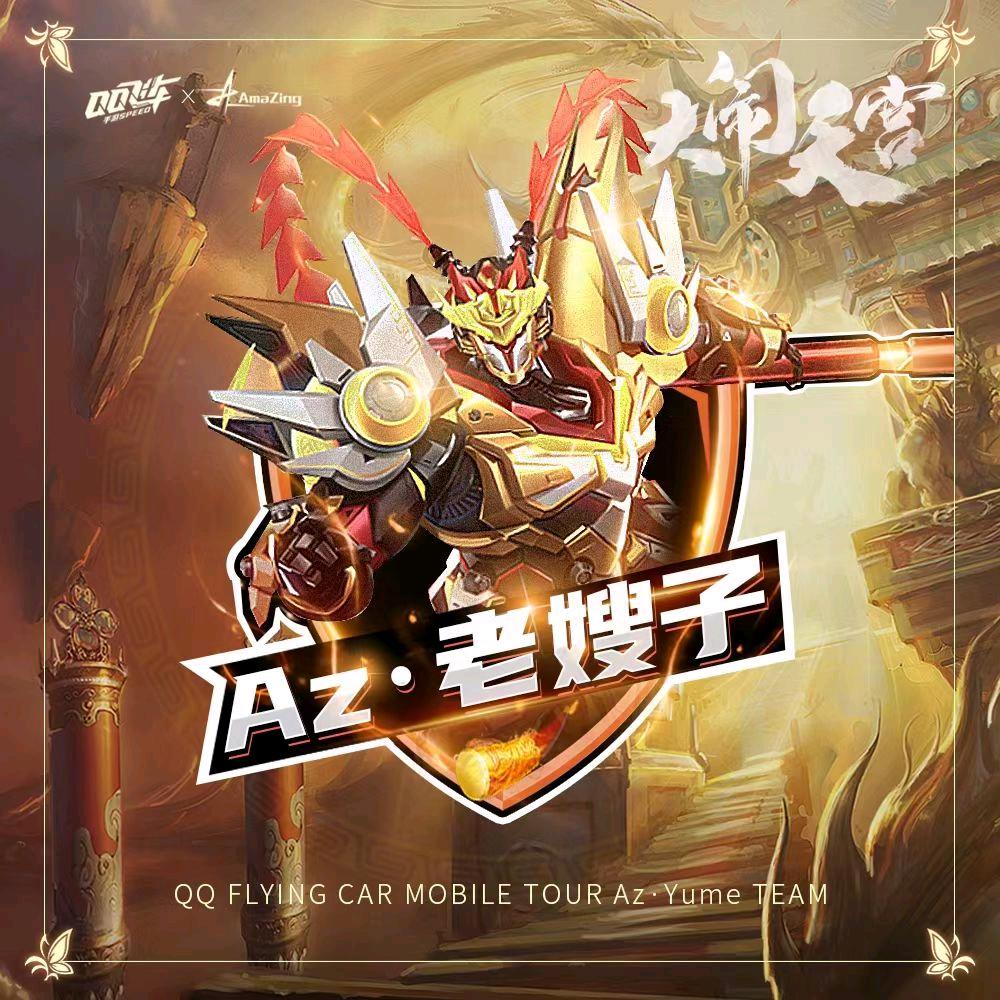 淡泊嫂（包车包宠）