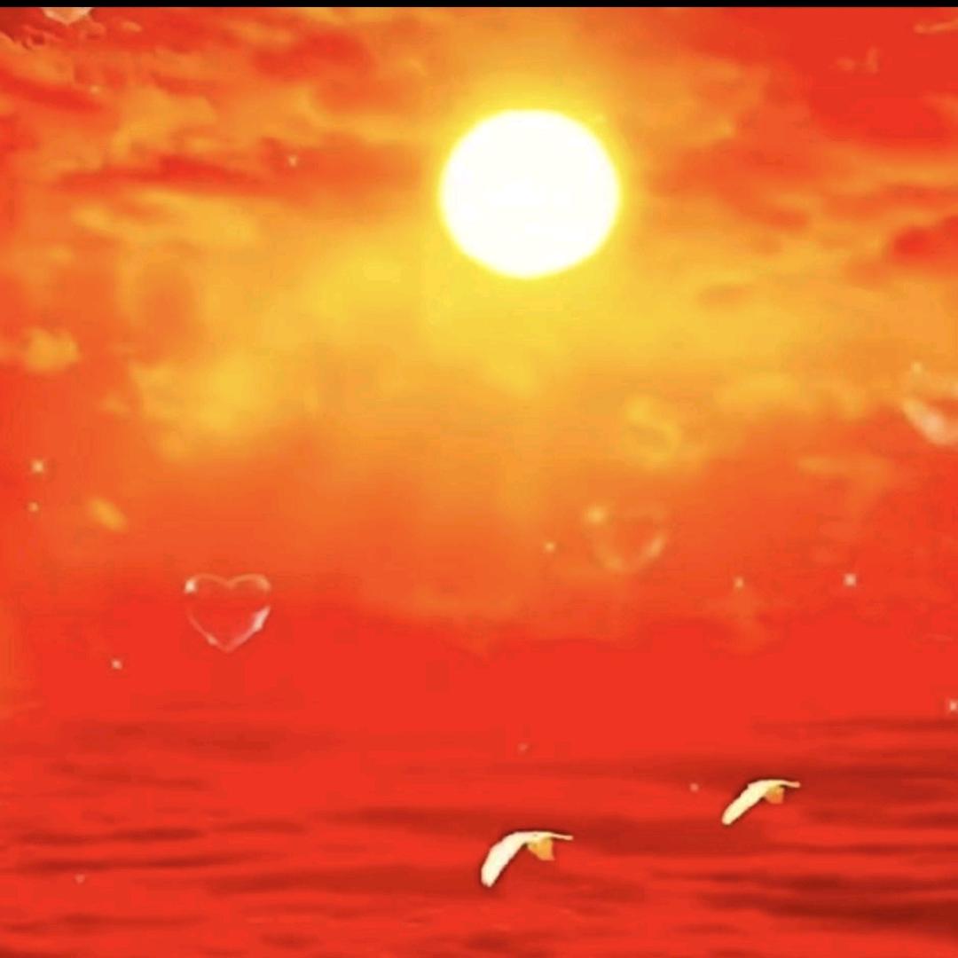 🌹满眼笑意🌹