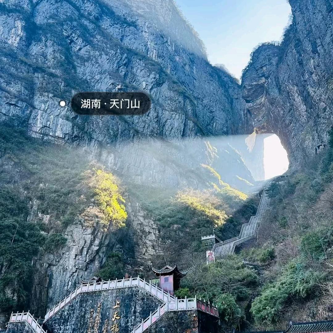 上官竹🎋🎋