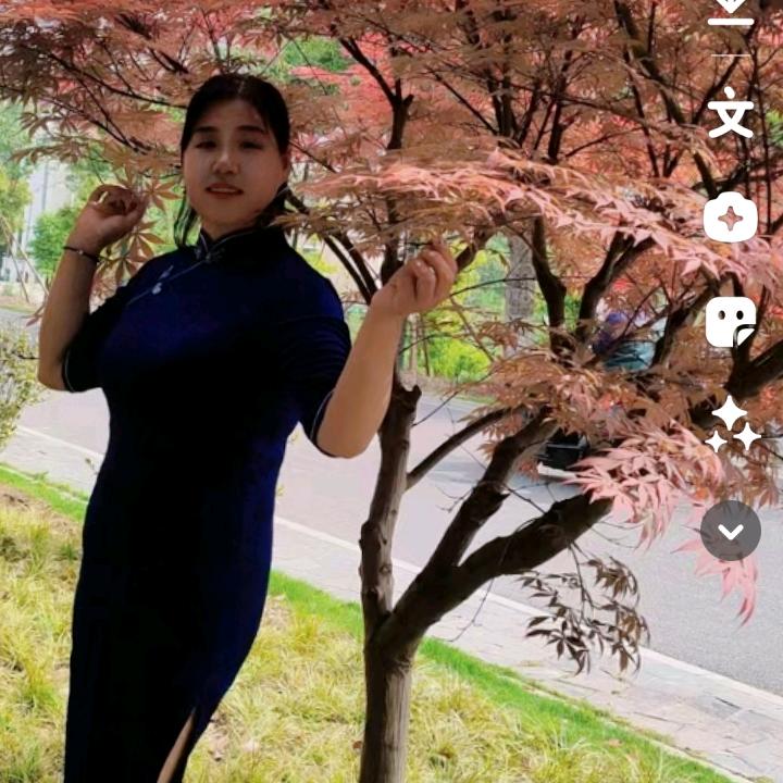 美好未来1970🐶