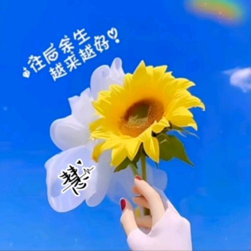 冰峰云端