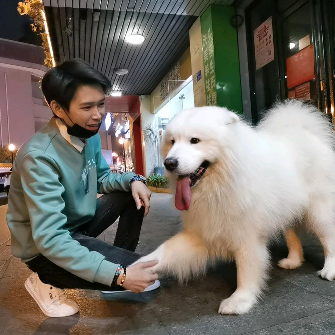 唱歌的小熊