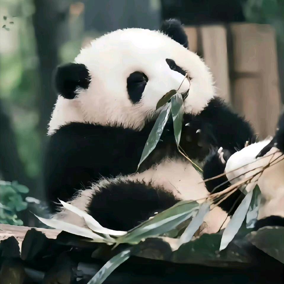 阿晓