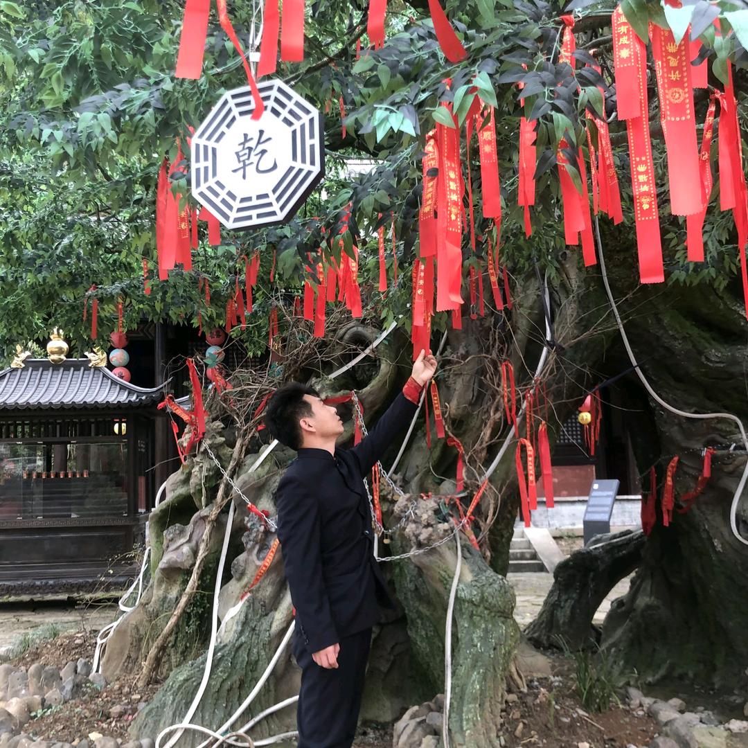 可温.小馋猫