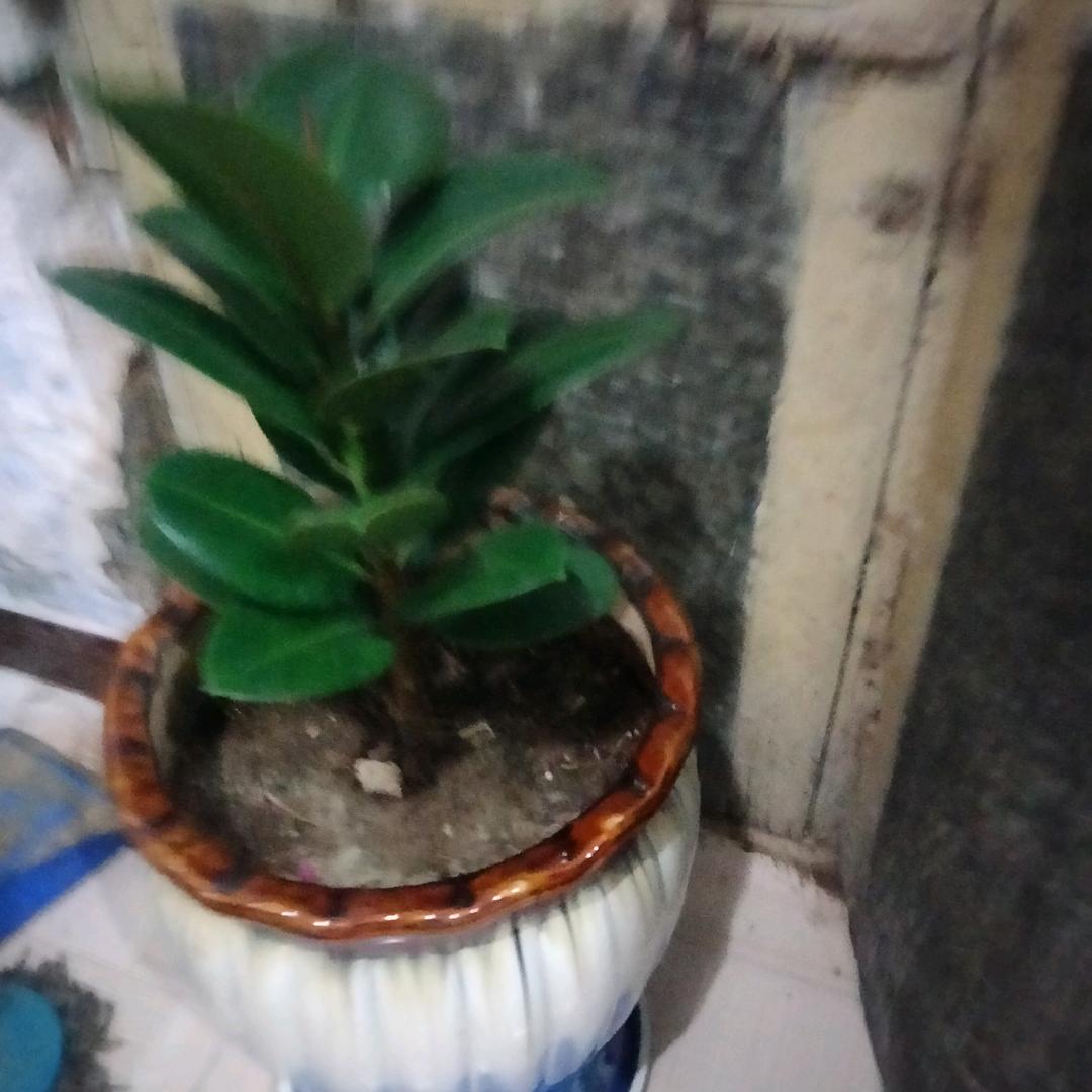 辉煌传媒有限公司