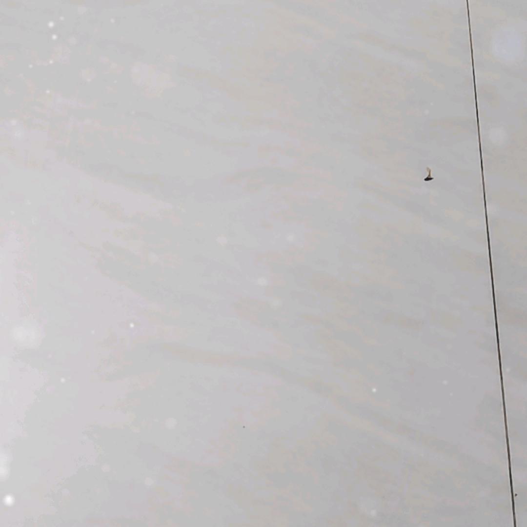 永远爱一个人琪