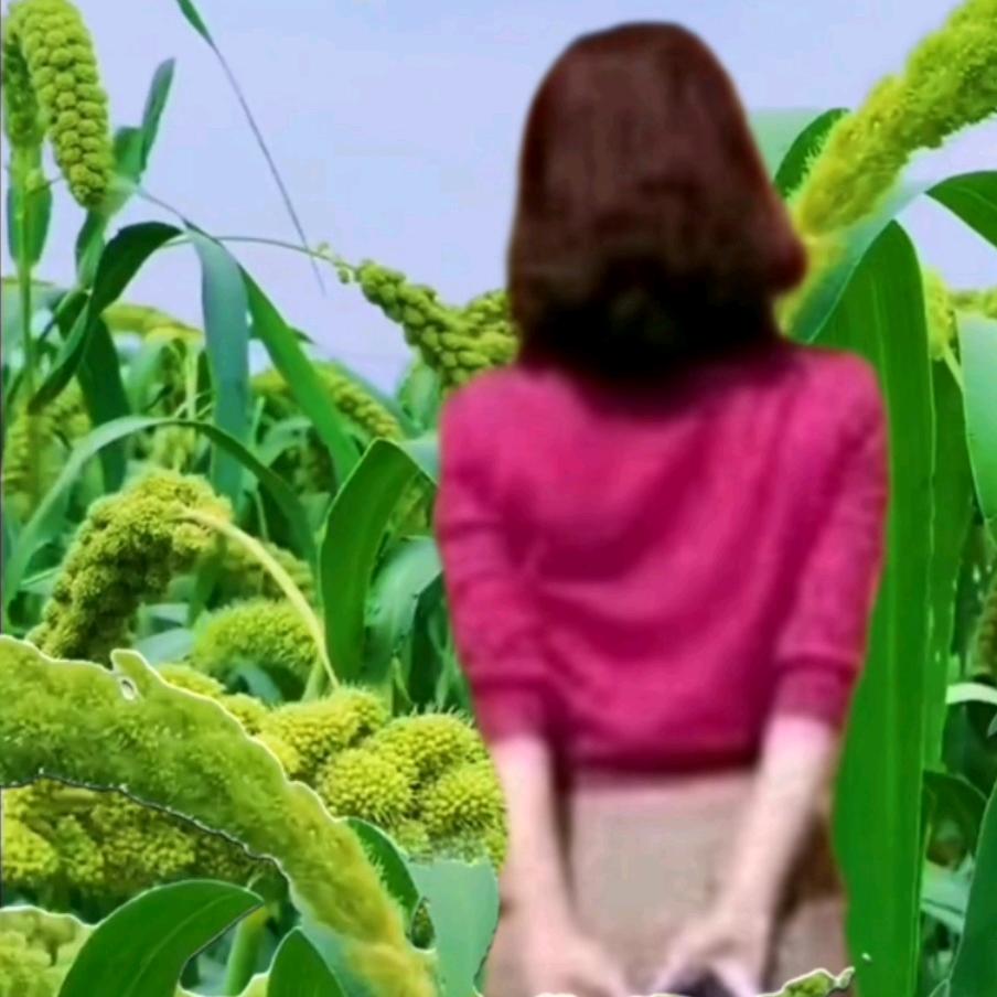 芬芳
