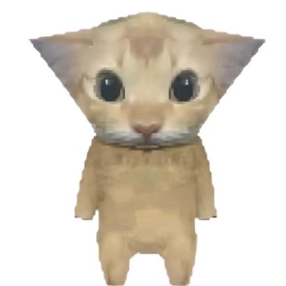 L两只