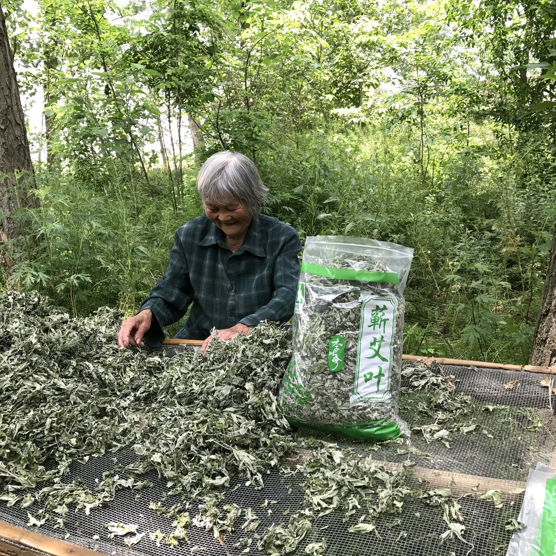 楚襄艾-手选艾叶（现场打包）