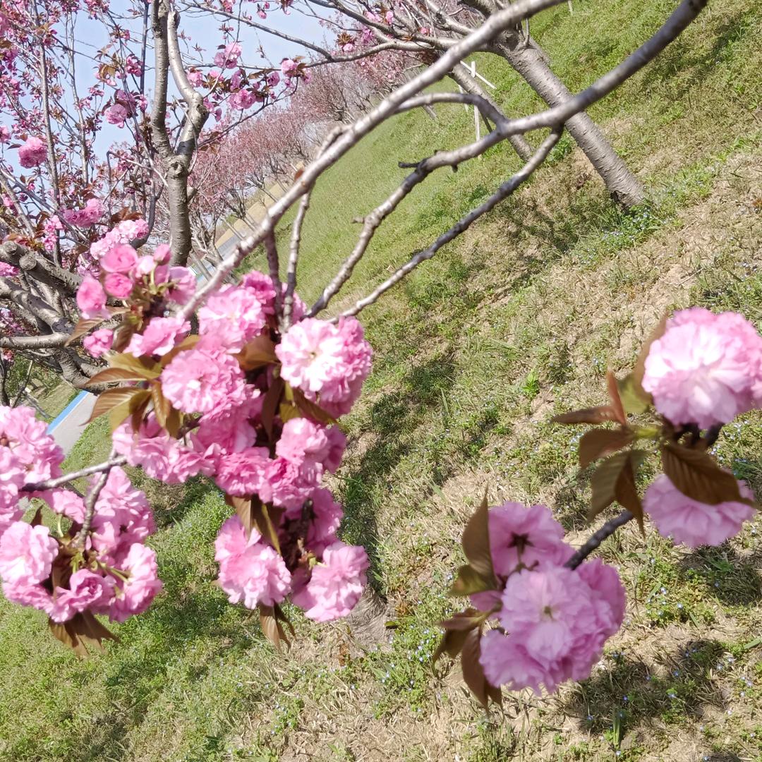 向钱看，再向厚赚