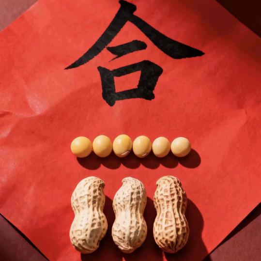 丹河小铺康乐南北苑跑跑