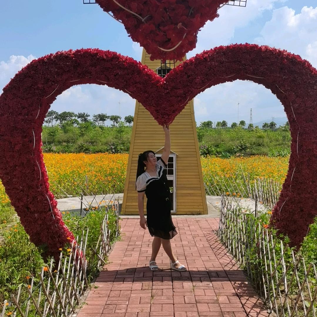 陈妹妹