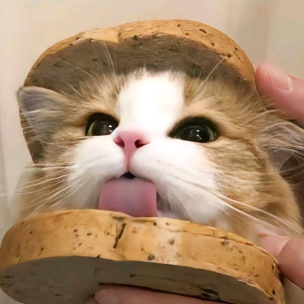 ^.守.约.^