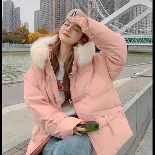 🪁纸鸢的糖糖🪁🪁🪁