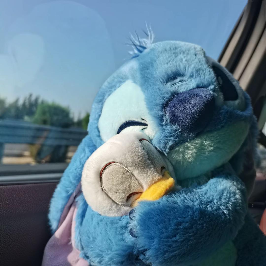 ZZ