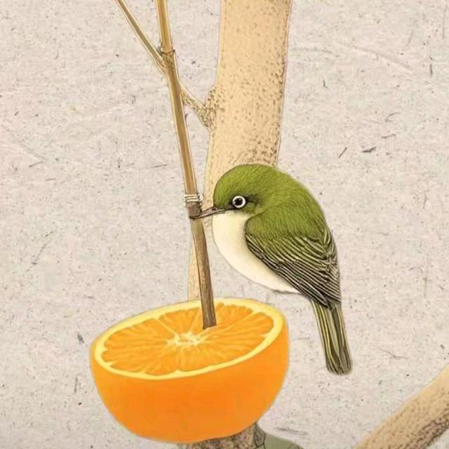 腾冲约拍摄影师菲樂