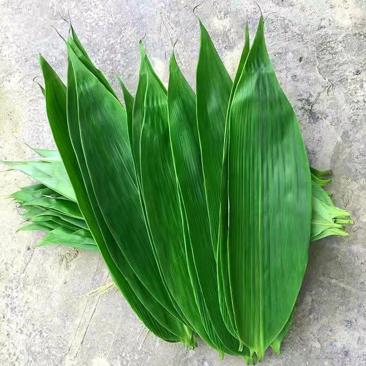 江西老表土山货