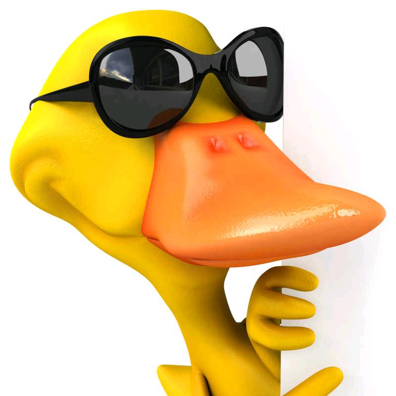 小污鸭🦆