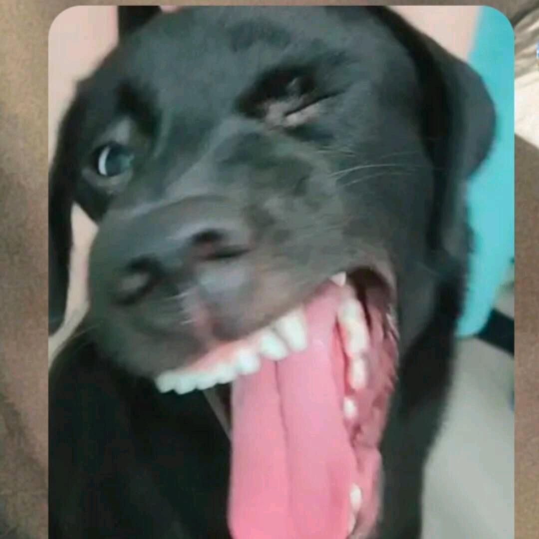 喜欢调戏性感蠕动的小奶蛆