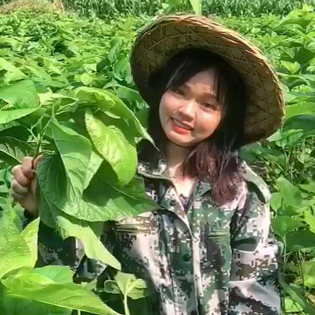 广西樱宝