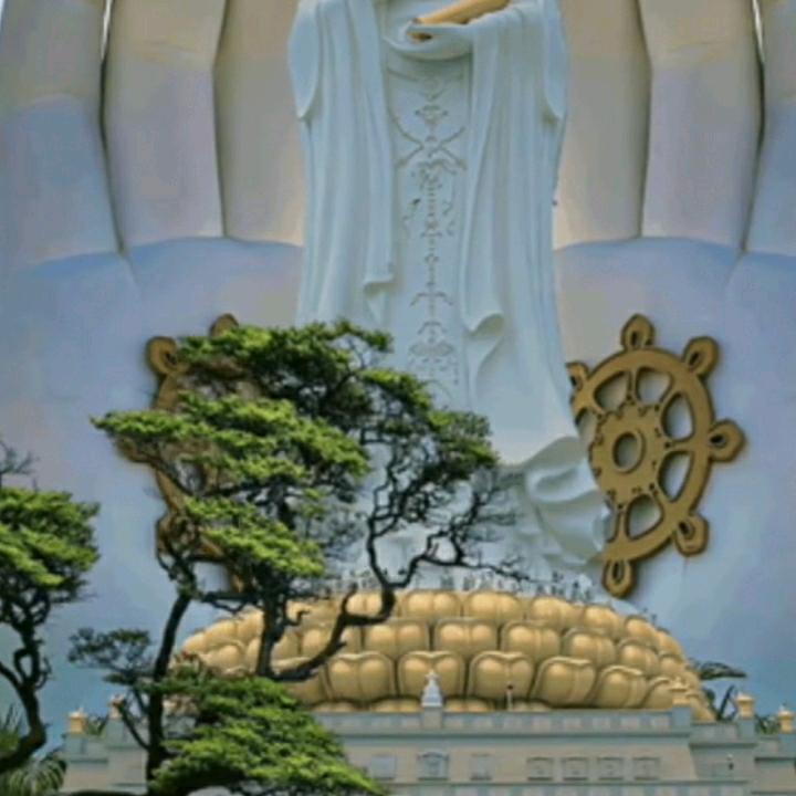 八零青年