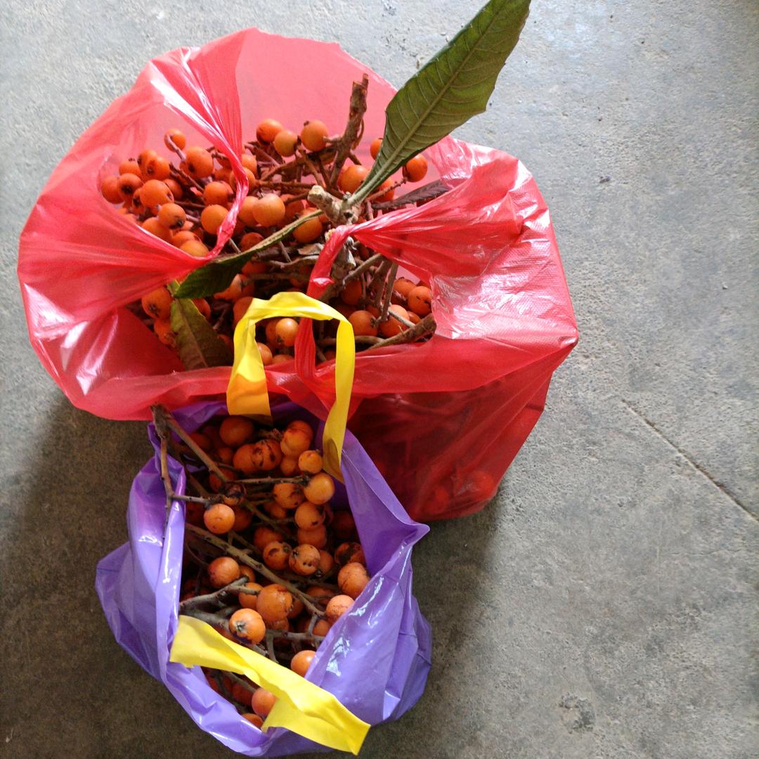 ༄༅落花🌺༒无痕༂