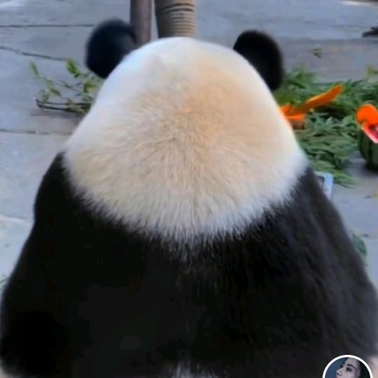 余生🌹🌹🌹独宠一人