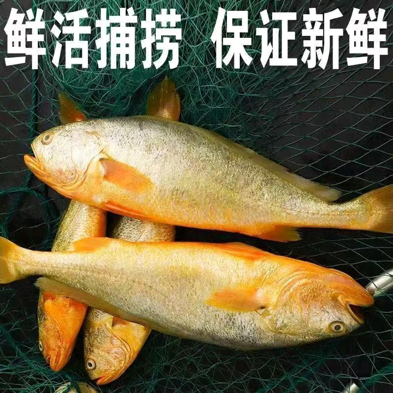 娟子海鲜8888