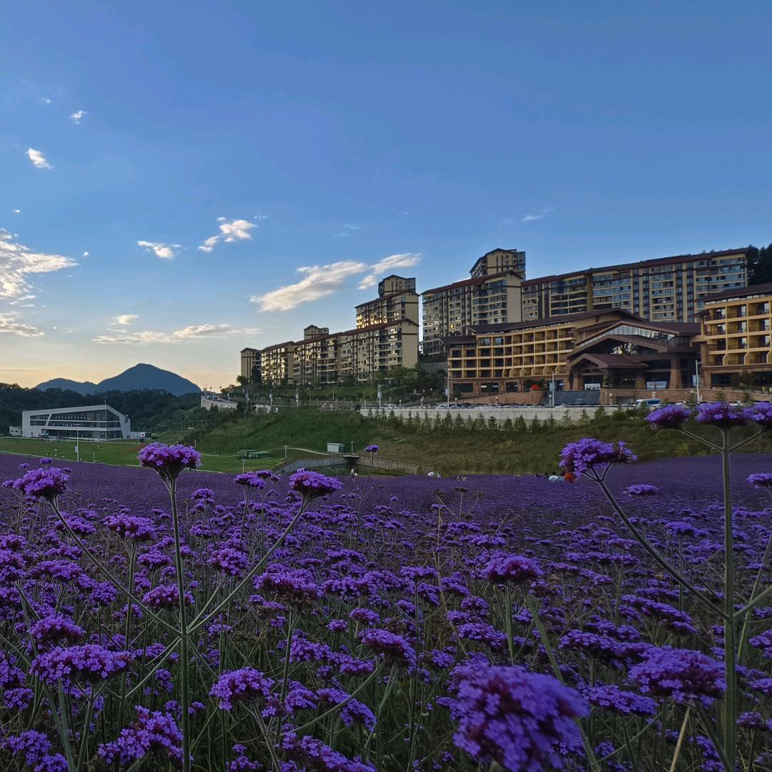 绿葱坡避暑房小万