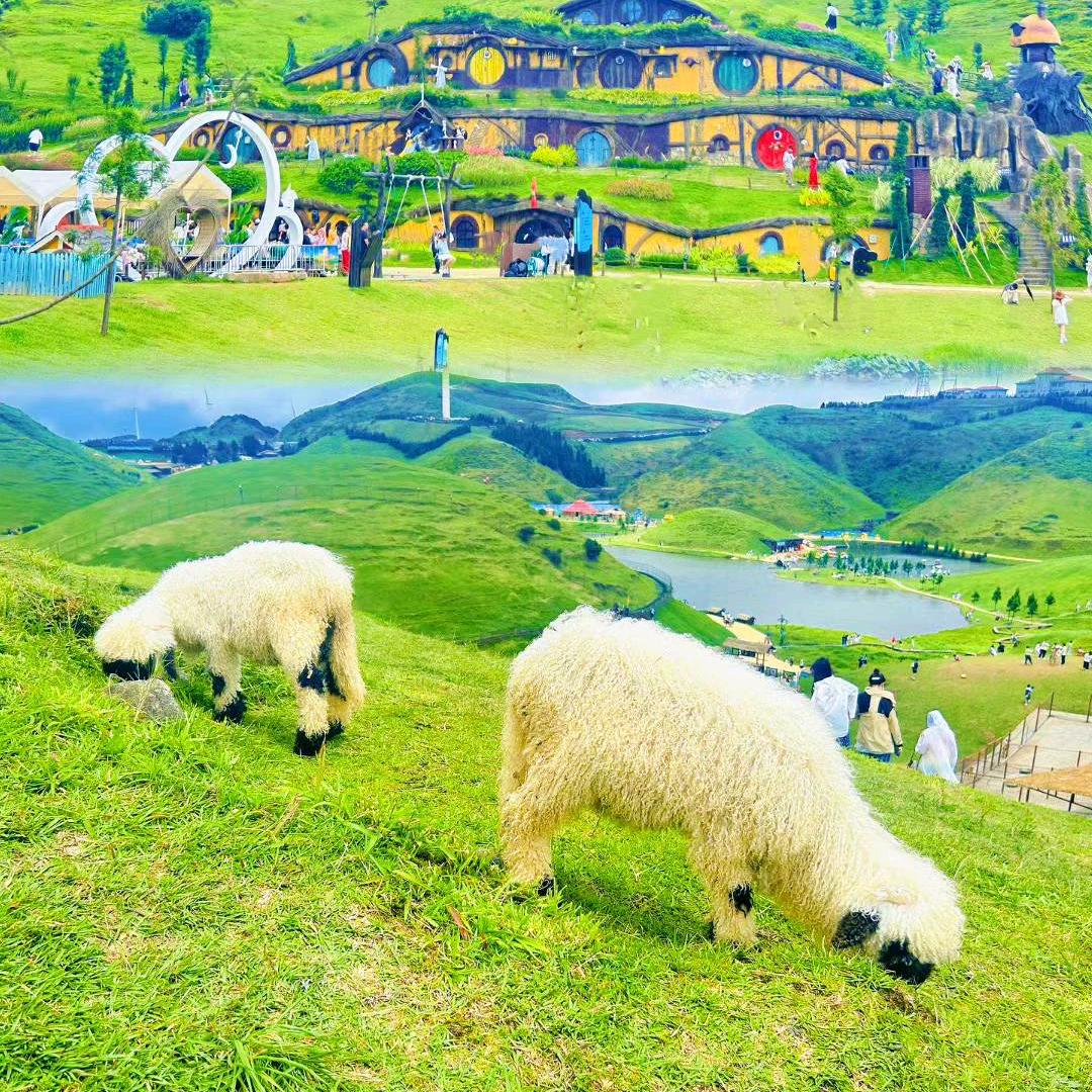 郴州自由行包车服务