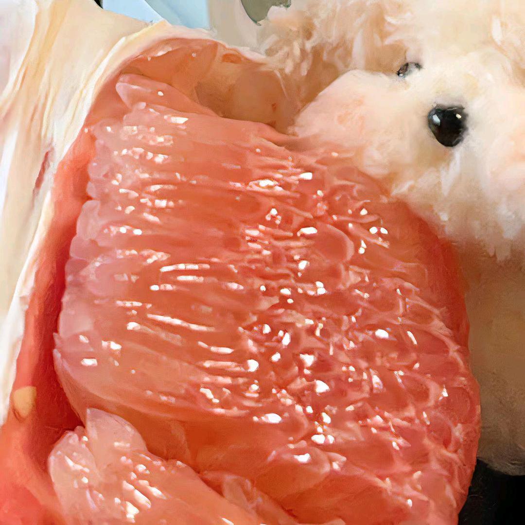 分逼不刷就是陪伴（互）