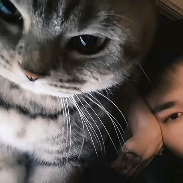 烬海凇