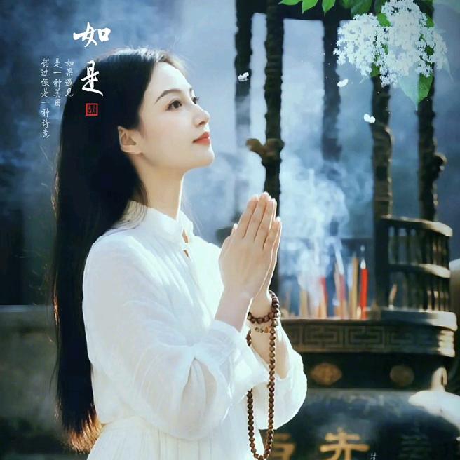 禅易🙏—禅舞🙏