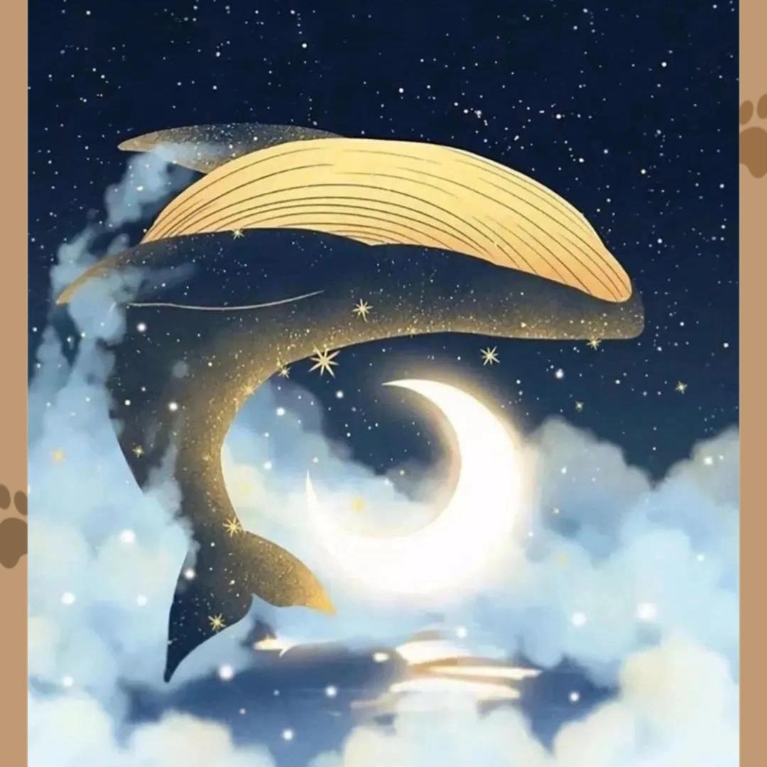 52赫兹的鲸🐳