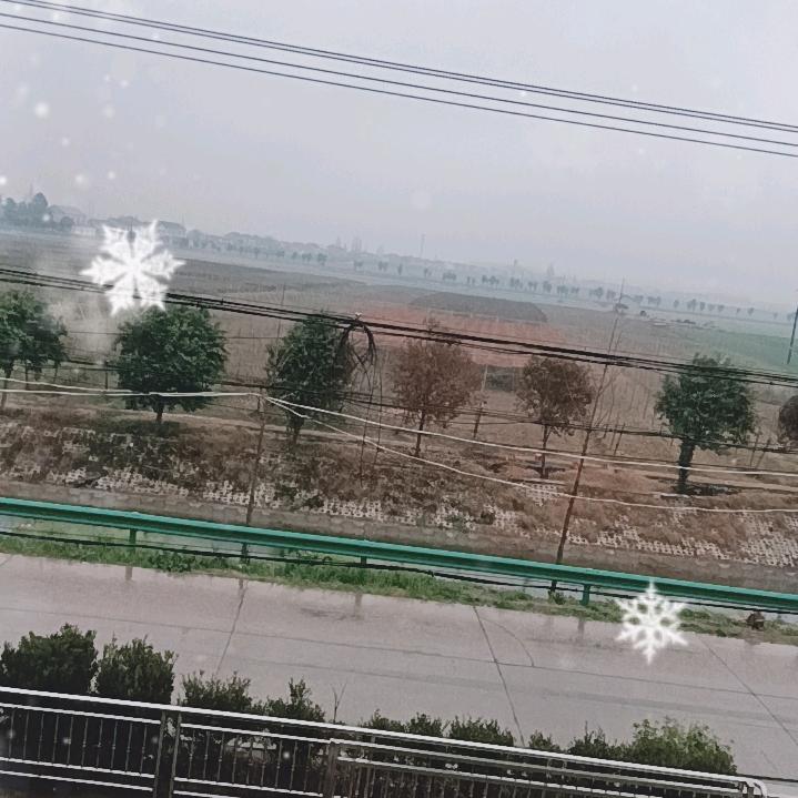 玲子