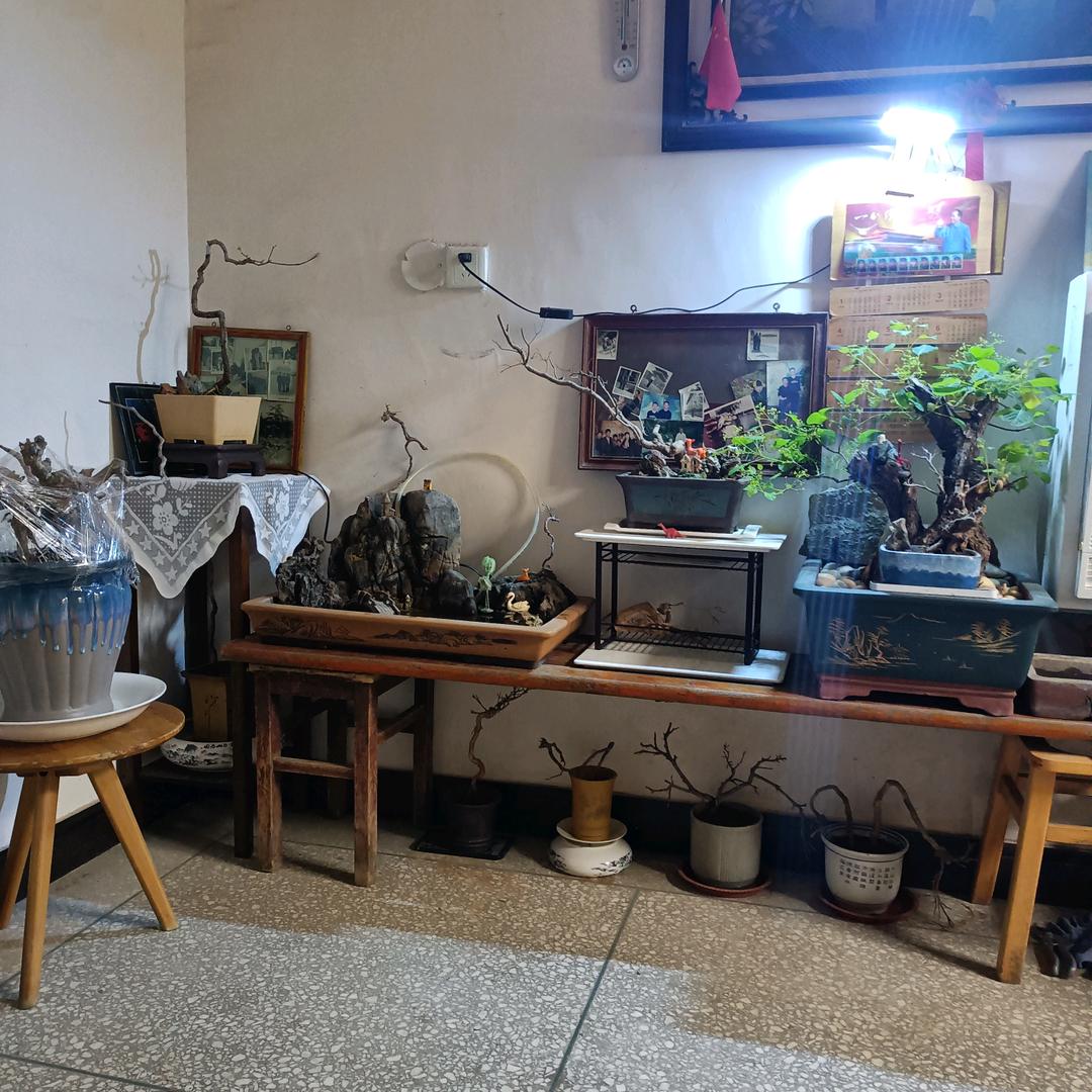 金牛园林🐂🐂