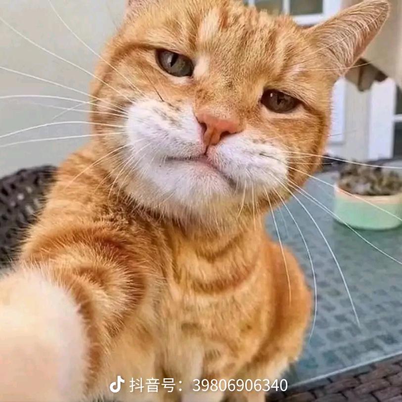 不想工作